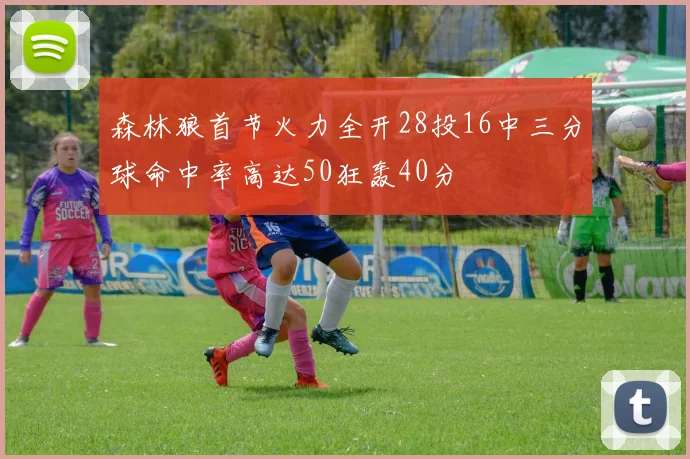森林狼首节火力全开28投16中三分球命中率高达50狂轰40分